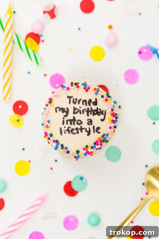 Because Drake on Cake Inspired Birthday Cake Macarons just needed to be a real thing! - sugar and cloth - quotes - lyrics