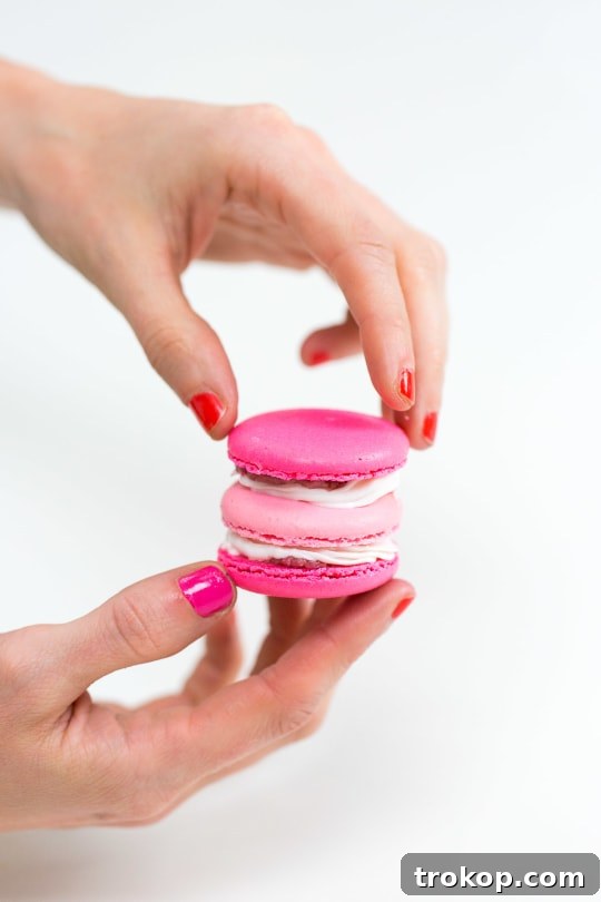 Because Drake on Cake Inspired Birthday Cake Macarons just needed to be a real thing! - sugar and cloth - quotes - lyrics