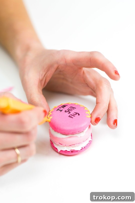 Because Drake on Cake Inspired Birthday Cake Macarons just needed to be a real thing! - sugar and cloth - quotes - lyrics