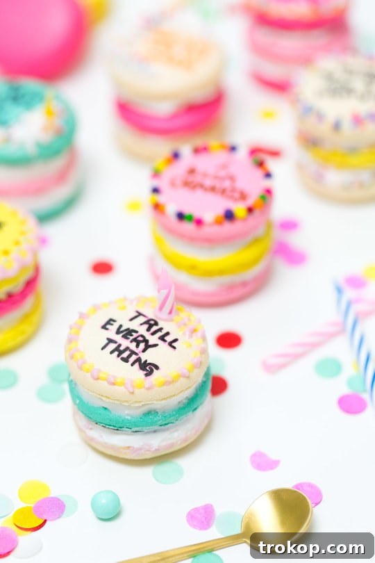 Because Drake on Cake Inspired Birthday Cake Macarons just needed to be a real thing! - sugar and cloth - quotes - lyrics