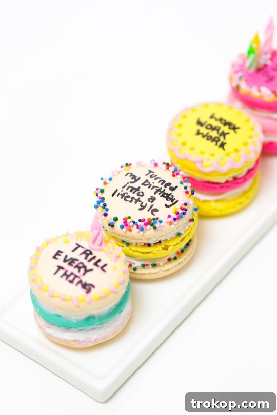 Because Drake on Cake Inspired Birthday Cake Macarons just needed to be a real thing! - sugar and cloth - quotes - lyrics