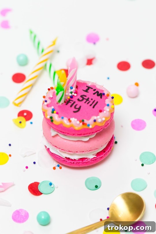 Because Drake on Cake Inspired Birthday Cake Macarons just needed to be a real thing! - sugar and cloth - quotes - lyrics
