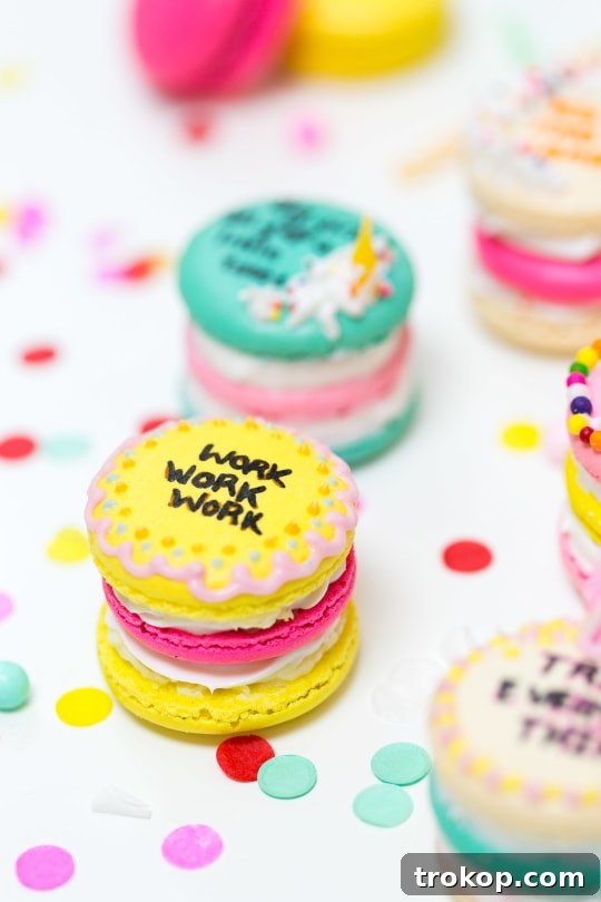 Because Drake on Cake Inspired Birthday Cake Macarons just needed to be a real thing! - sugar and cloth - quotes - lyrics