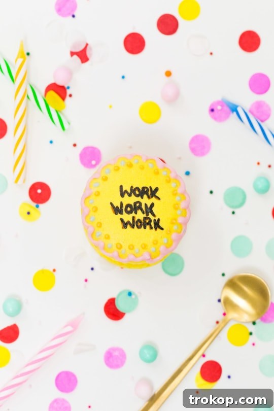 Because Drake on Cake Inspired Birthday Cake Macarons just needed to be a real thing! - sugar and cloth - quotes - lyrics