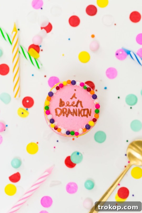Because Drake on Cake Inspired Birthday Cake Macarons just needed to be a real thing! - sugar and cloth - quotes - lyrics