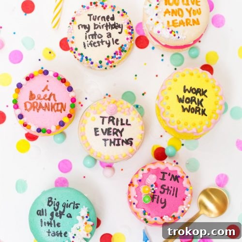 Because Drake on Cake Inspired Birthday Cake Macarons just needed to be a real thing! - sugar and cloth - quotes - lyrics