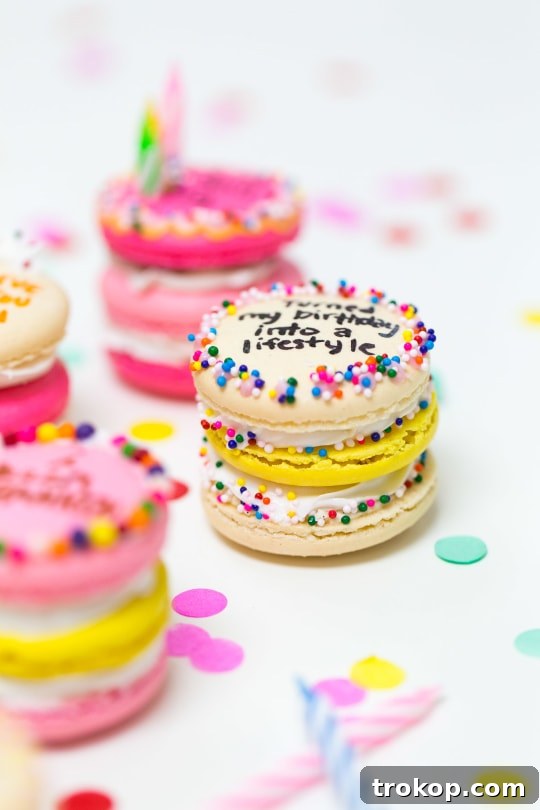 Because Drake on Cake Inspired Birthday Cake Macarons just needed to be a real thing! - sugar and cloth - quotes - lyrics