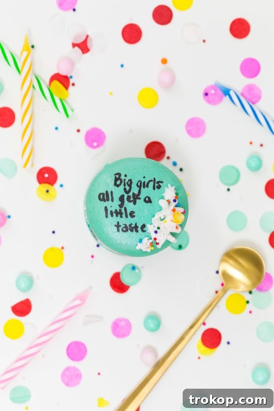 Because Drake on Cake Inspired Birthday Cake Macarons just needed to be a real thing! - sugar and cloth - quotes - lyrics
