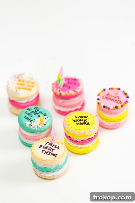 Because Drake on Cake Inspired Birthday Cake Macarons just needed to be a real thing! - sugar and cloth - quotes - lyrics