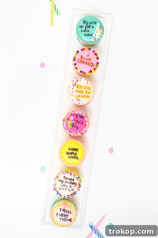 Because Drake on Cake Inspired Birthday Cake Macarons just needed to be a real thing! - sugar and cloth - quotes - lyrics