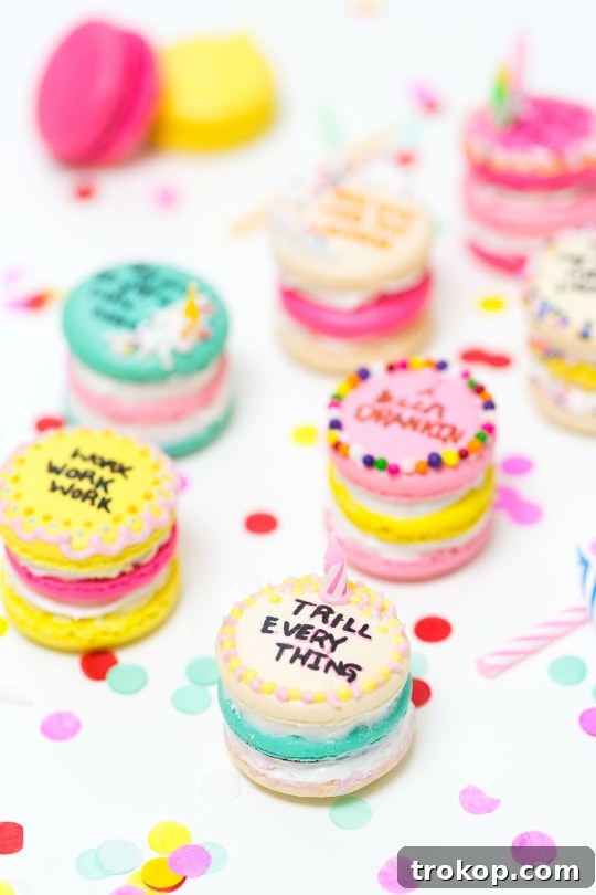 Because Drake on Cake Inspired Birthday Cake Macarons just needed to be a real thing! - sugar and cloth - quotes - lyrics