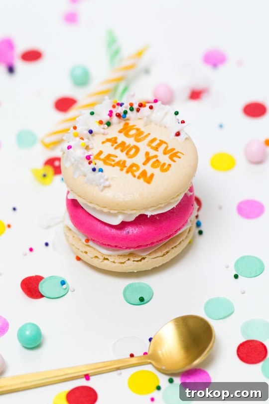 Because Drake on Cake Inspired Birthday Cake Macarons just needed to be a real thing! - sugar and cloth - quotes - lyrics