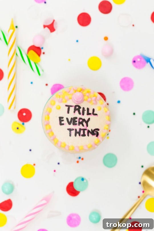 Because Drake on Cake Inspired Birthday Cake Macarons just needed to be a real thing! - sugar and cloth - quotes - lyrics