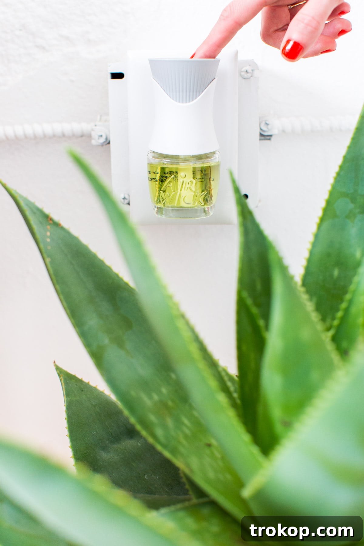 Air Wick Scent Decorator for creating a perfect summer ambiance in dining rooms