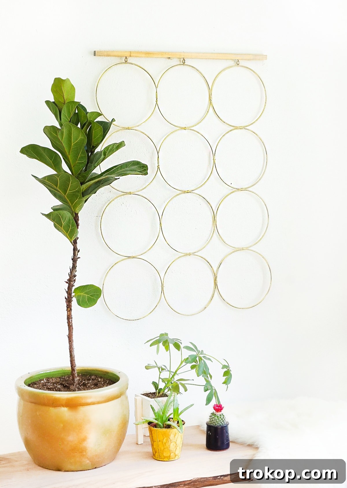 A simple and sophisticated DIY brass ring wall decor to hang at home! - sugar and cloth