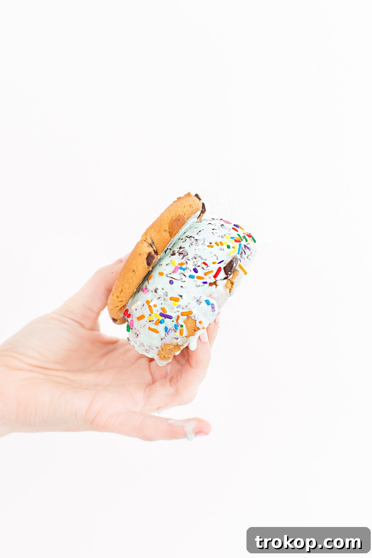Indulge in the best summer treat: a delightful Baskin-Robbins warm cookie ice cream sandwich. Perfect for sharing and creating sweet memories.