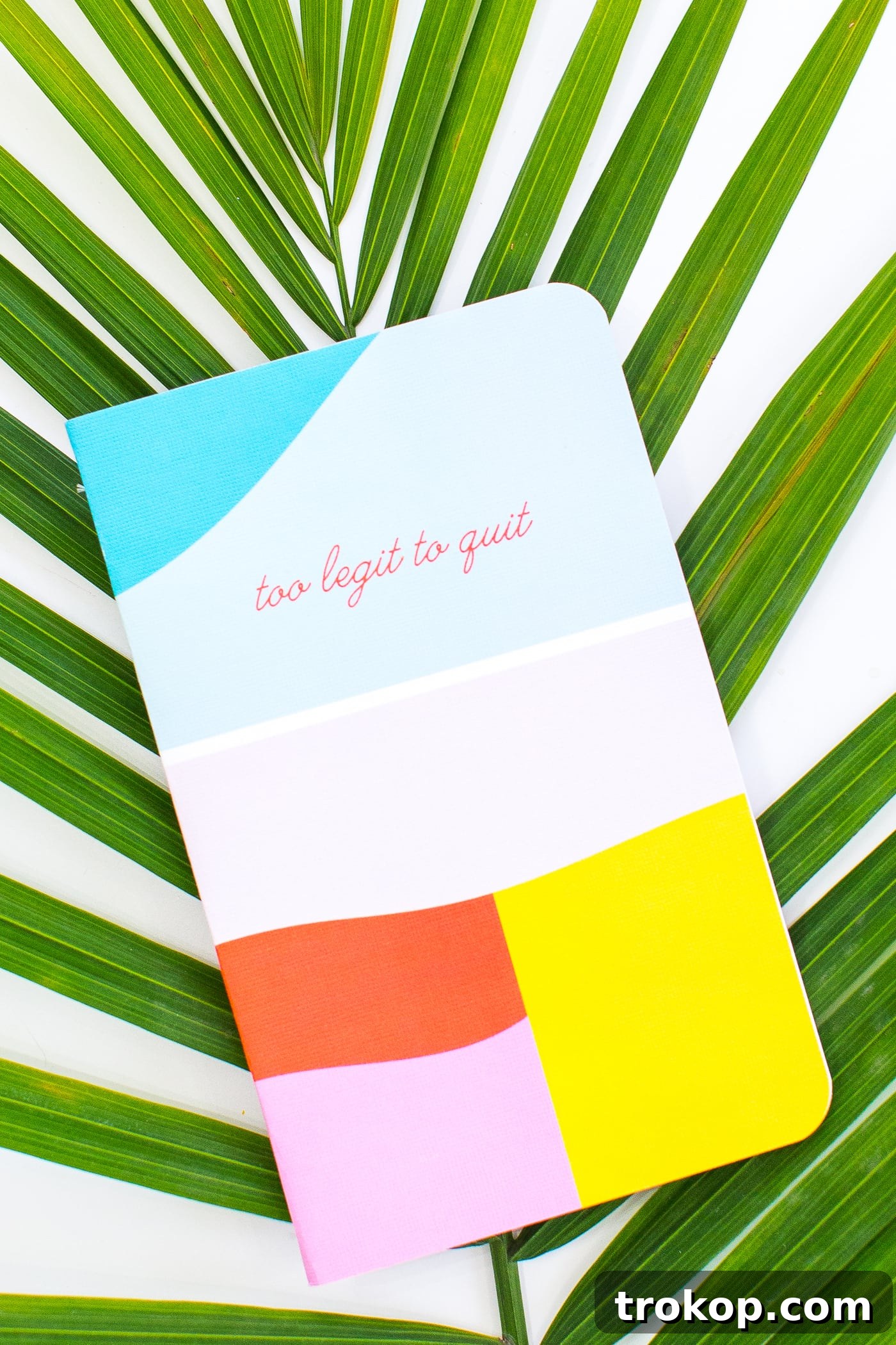 Announcing Our New Product Line Collaboration with May Designs 6 May Designs x Sugar & Cloth Notebooks with Personalized Details