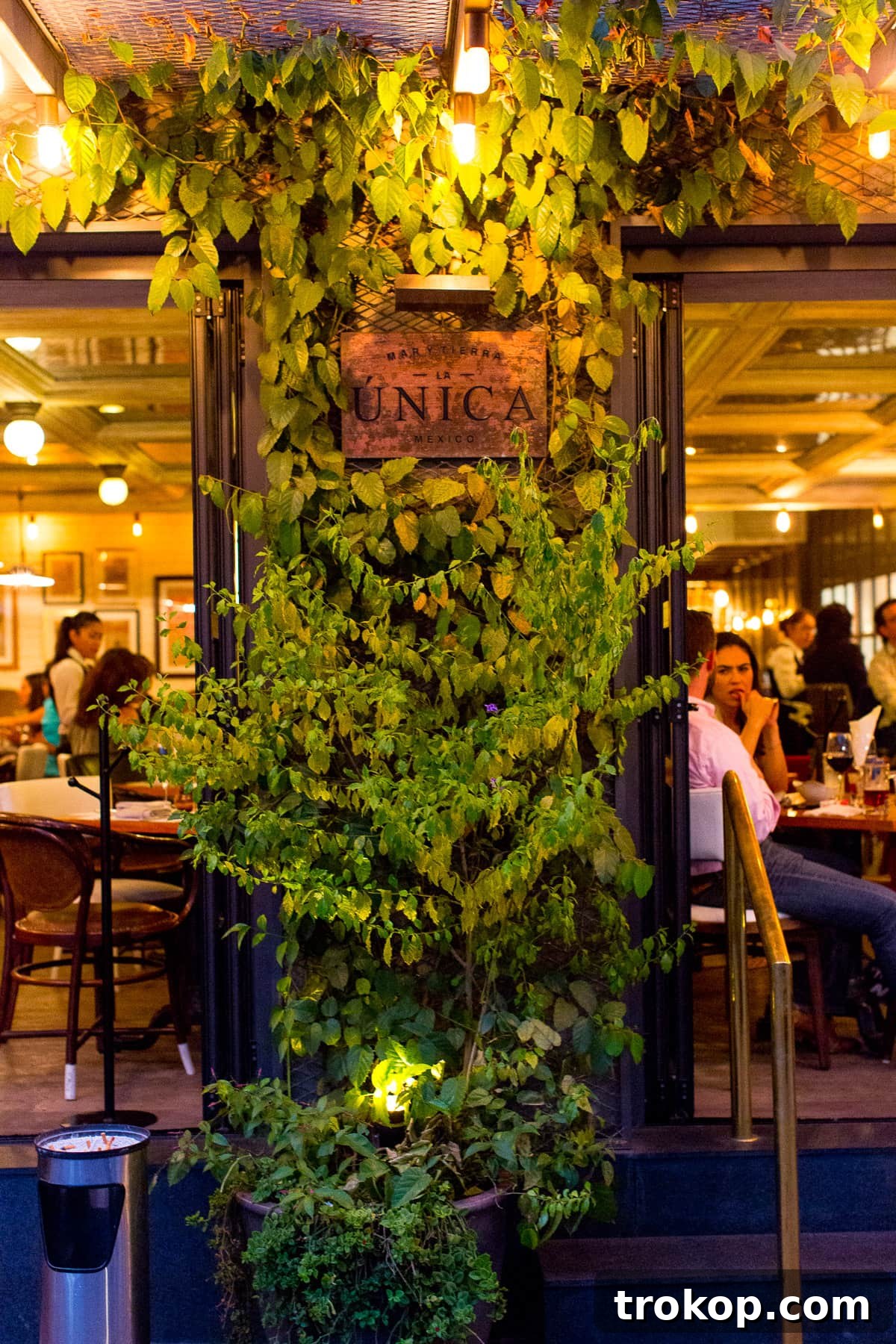Comrade bar: a must-visit in Polanco for sophisticated drinks and a chic atmosphere.