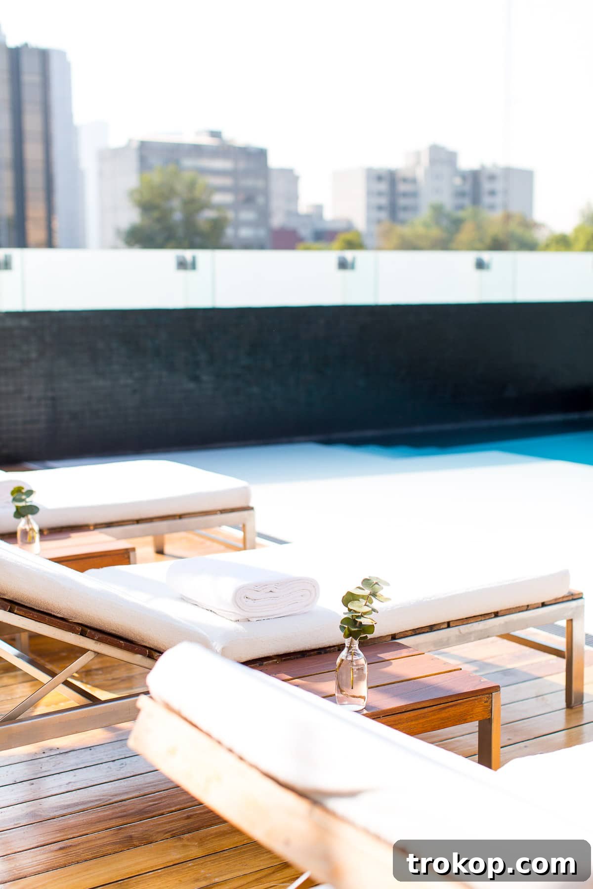Chic interiors and unparalleled comfort at Hotel Habita, a top boutique hotel in Polanco.