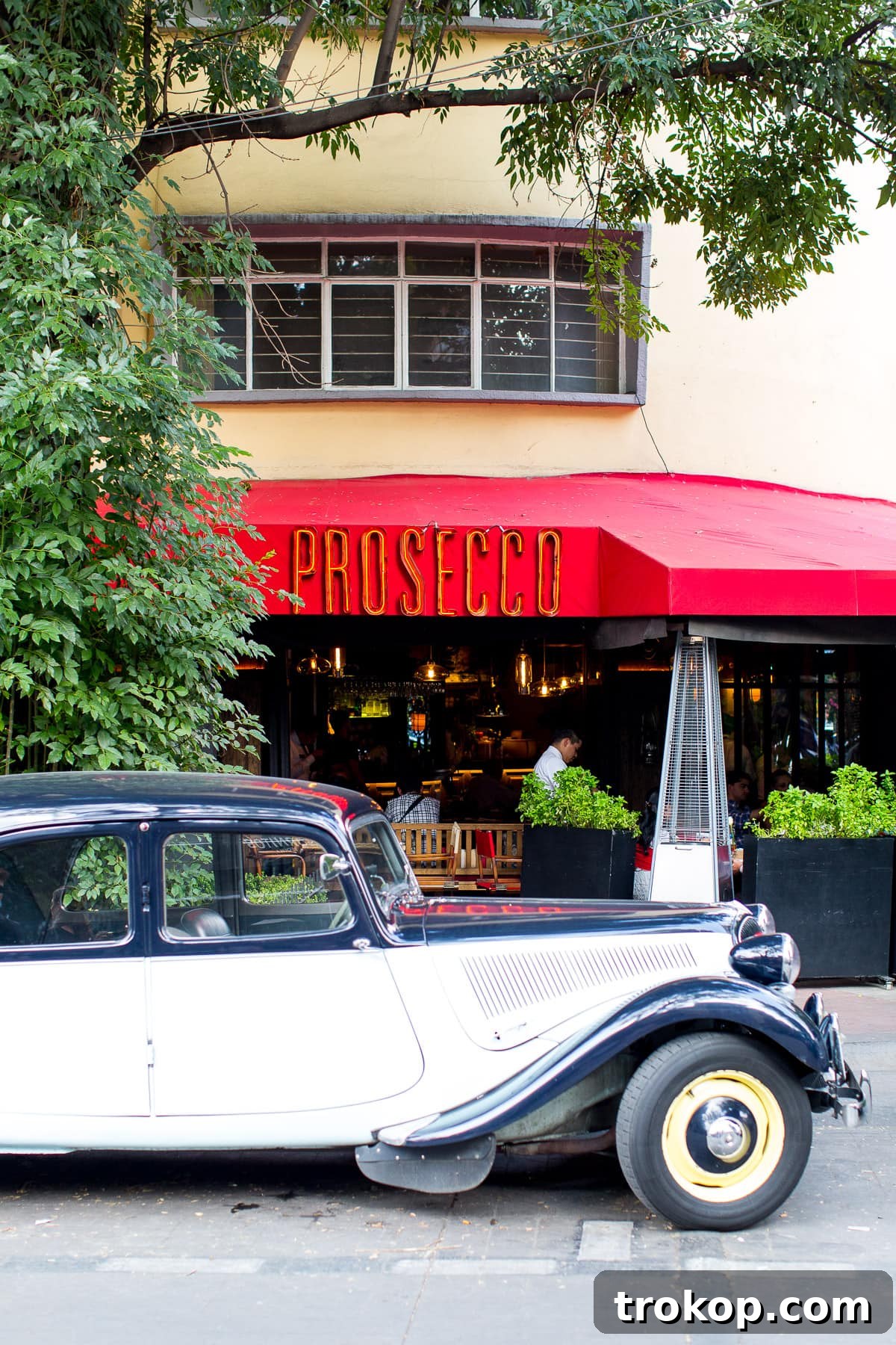 Your ultimate guide to Hotel Habita and Polanco, Mexico City's premier luxury destination.