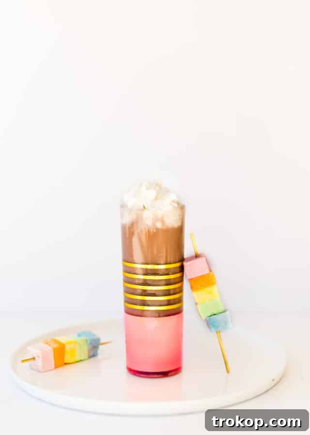 Boozy Hot Chocolate Cocktail
