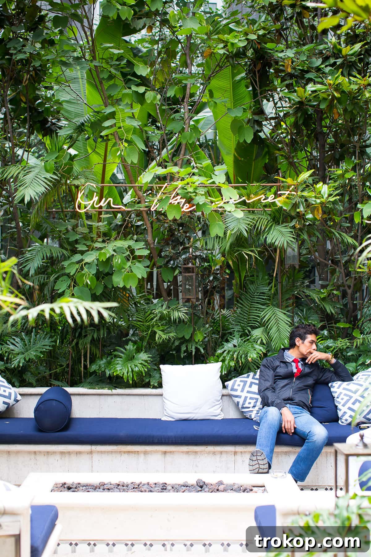 Exploring Condesa Mexico Citys Art Deco Charm 20 Follow along on our travels! A Mexico City guide in Condesa - Sugar & Cloth