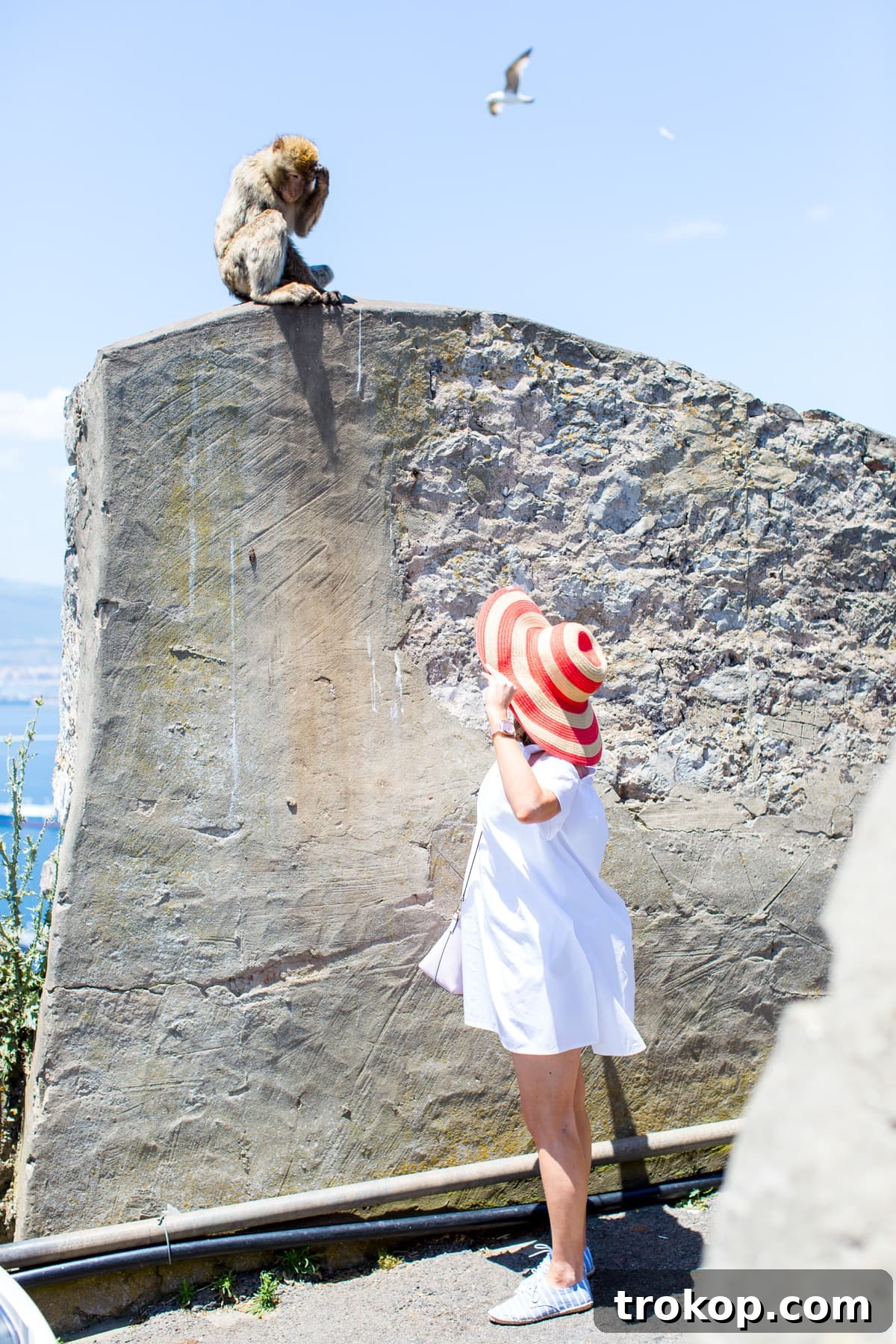 Stunning views from Europa Point, Gibraltar