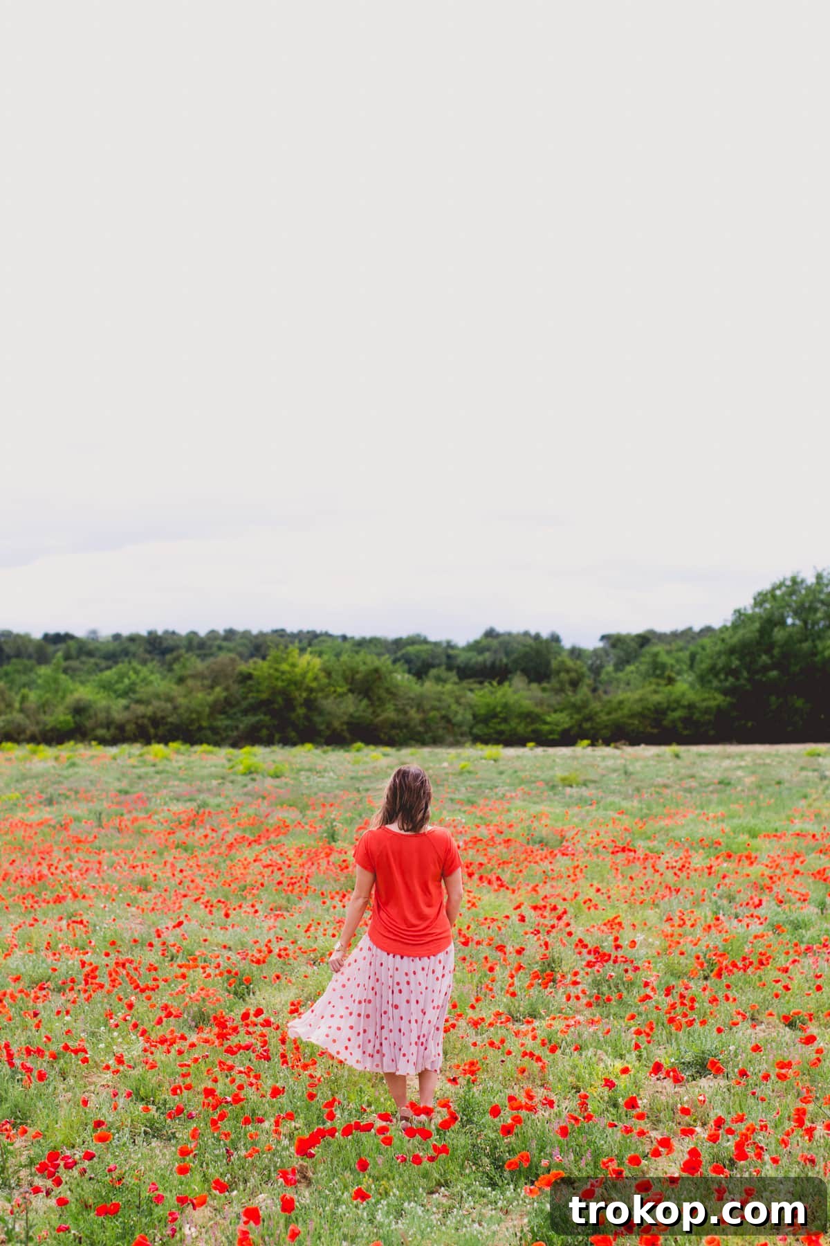 Mediterranean Escapade, Part 2: Aix, Portofino, Cinque Terre, Rome 7 Joyfully exploring a field of vibrant poppies in the French countryside, a highlight of our Mediterranean cruise.