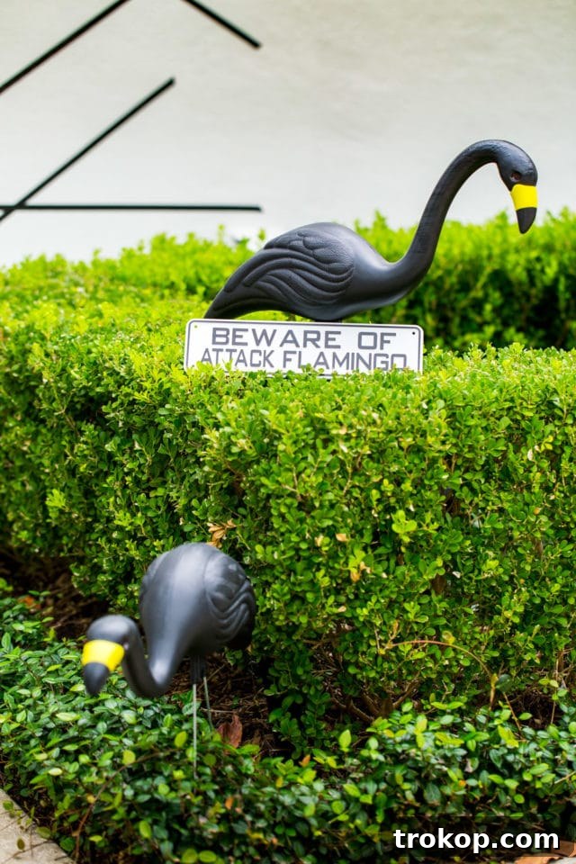 Beware of the attack flamingos! A whimsical sign for Palm Springs-inspired Halloween decor.