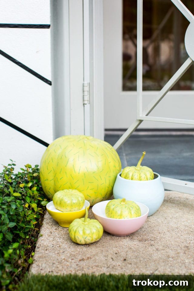 Cacti and succulent pumpkin decoration idea for a modern Halloween aesthetic.