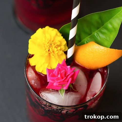 Dark & Stormy Cocktail Recipe - Sugar & Cloth - Recipe - Holiday - Halloween - Houston Blogger