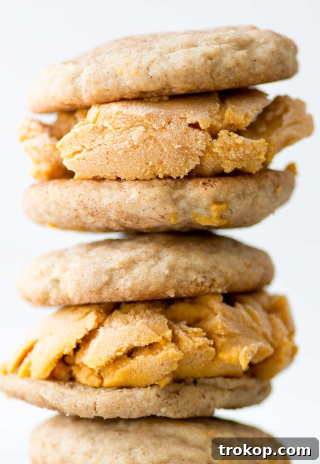 Irresistible Snickerdoodle Pumpkin Pie Ice Cream Sandwiches 2 Snickerdoodle and Pumpkin Ice Cream Sandwich - Sugar & Cloth - Houston Blogger - Recipe