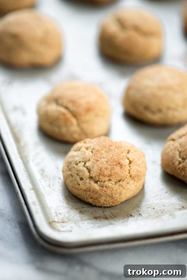 Irresistible Snickerdoodle Pumpkin Pie Ice Cream Sandwiches 4 Snickerdoodle and Pumpkin Ice Cream Sandwich - Sugar & Cloth - Houston Blogger - Recipe