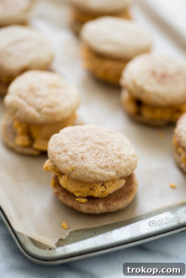 Irresistible Snickerdoodle Pumpkin Pie Ice Cream Sandwiches 5 Snickerdoodle and Pumpkin Ice Cream Sandwich - Sugar & Cloth - Houston Blogger - Recipe