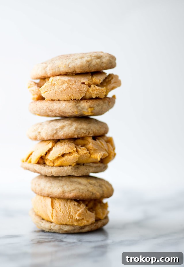 Irresistible Snickerdoodle Pumpkin Pie Ice Cream Sandwiches 7 photo of by top Snickerdoodle Pumpkin Ice Cream Sandwiches by Houston lifestyle blogger Ashley Rose of Sugar & Cloth