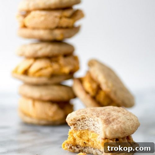 photo of the best fall dessert, Snickerdoodle Pumpkin Ice Cream Sandwiches