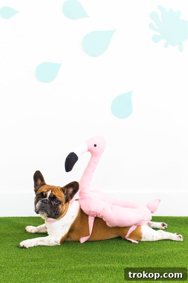 Adorable dog wearing a DIY flamingo pool float costume, standing cheerfully