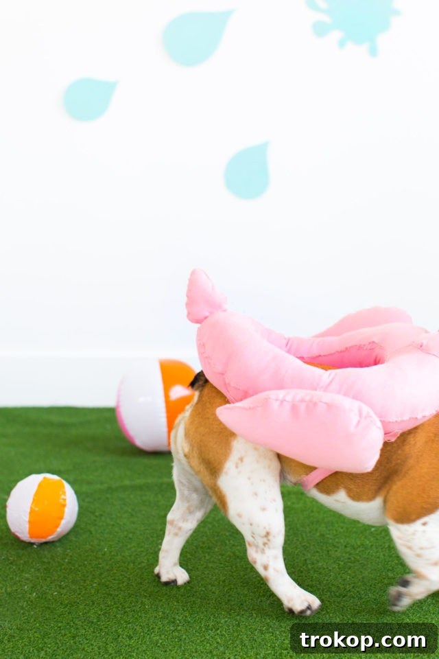 Dog wearing a DIY unicorn pool float costume, seen from the front
