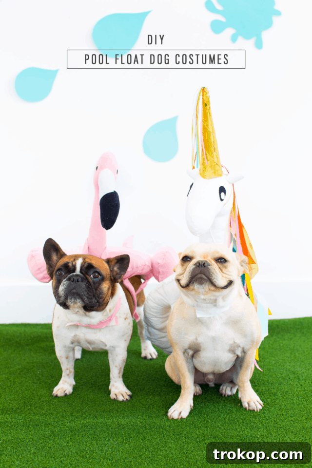 Two dogs posing together in DIY pool float costumes, a flamingo and a unicorn