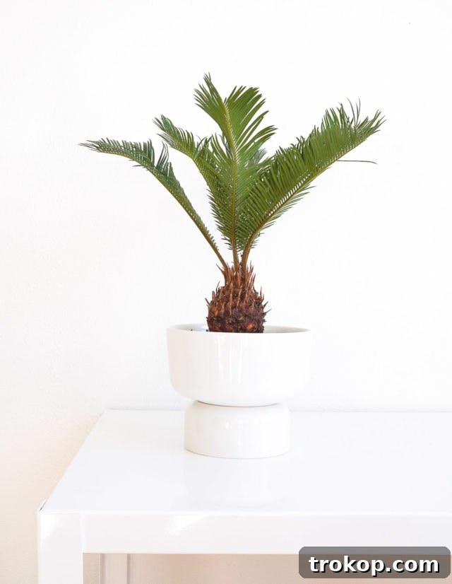 Stunning DIY Mid Century Modern Planter made from stacked bowls, a perfect example of budget-friendly home decor and easy DIY projects.