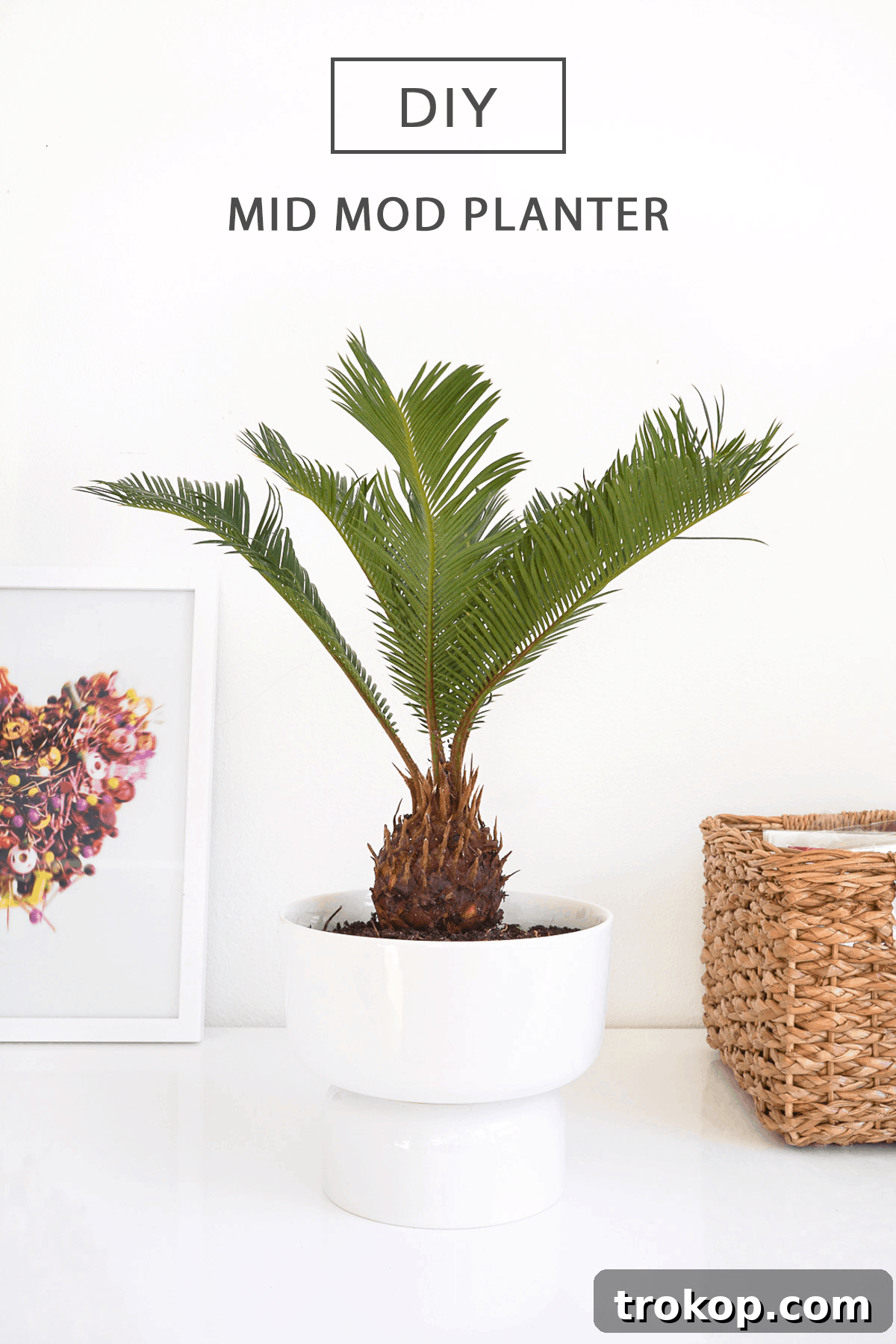 Beautifully styled DIY Mid Century Modern Planter with a plant, showcasing its aesthetic appeal as a home decor element.