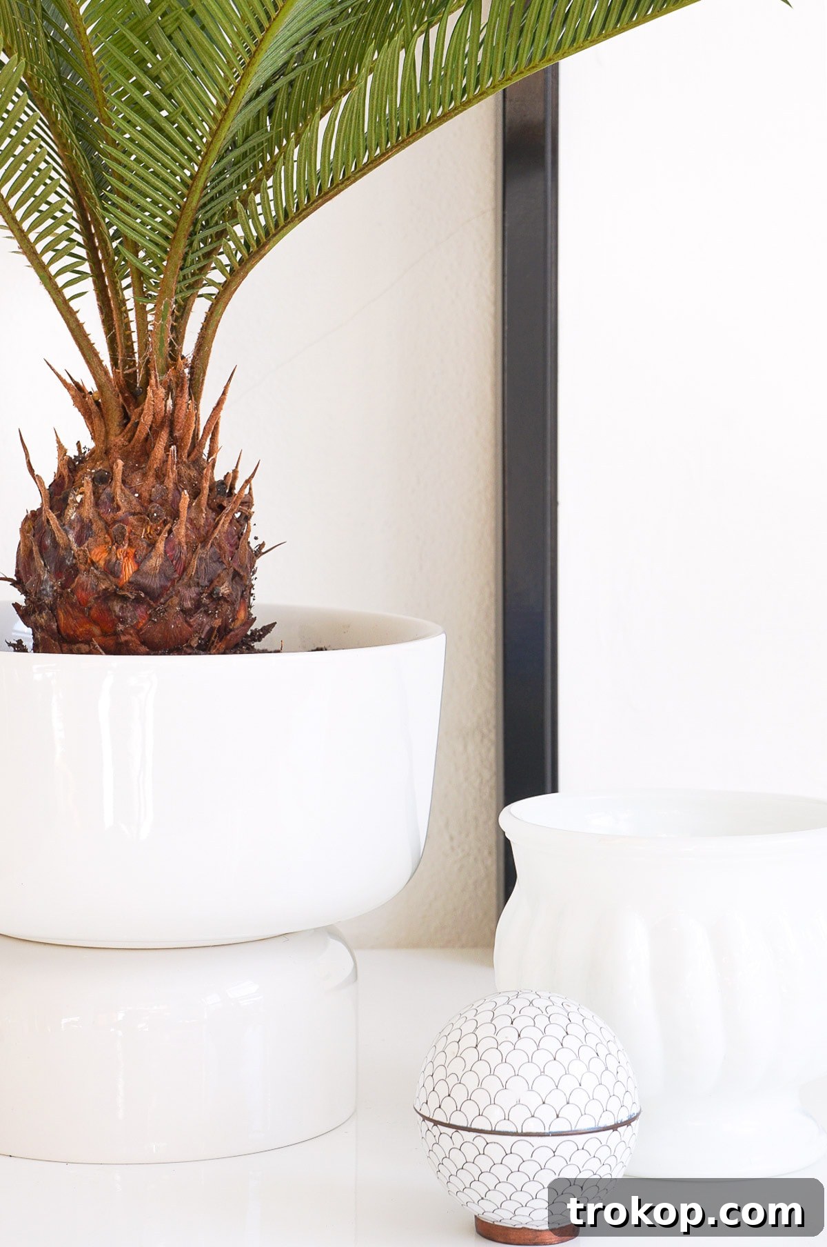 Full view of the finished DIY Mid Century Modern Planter, showcasing its elegance and the plant it holds. An excellent example of an easy and affordable DIY home project.