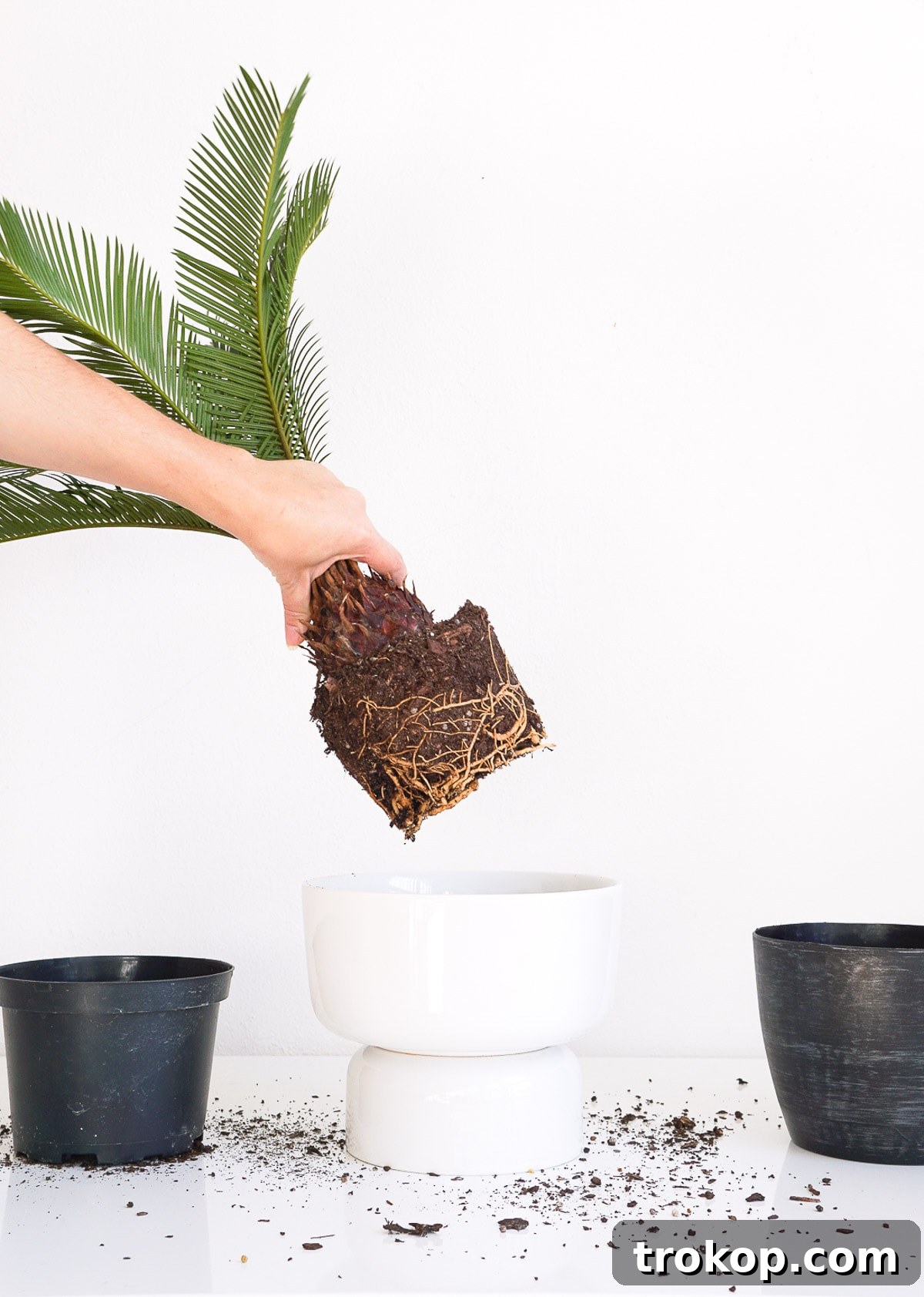 Adding small rocks for drainage to the bottom of the DIY Mid Century Modern Planter, an important step for plant health.