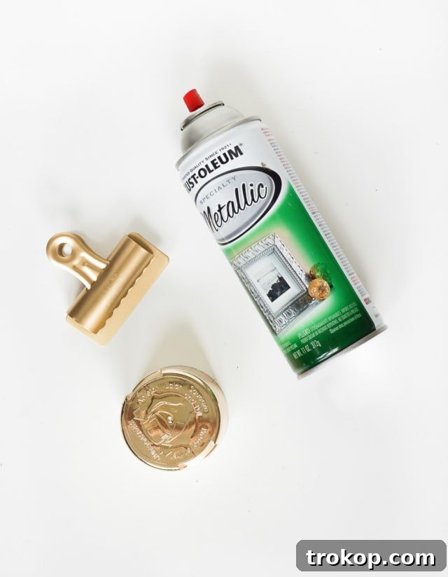 Craft Your Own Clip Memo Board 7 Spray Painting Bulldog Clips for a Stylish Contrast