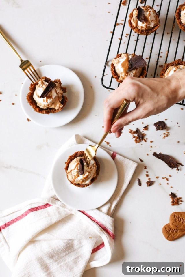 Delightful Mini Cookie Butter Tarts, a perfect no-bake dessert for entertaining. Recipe by Sugar & Cloth.