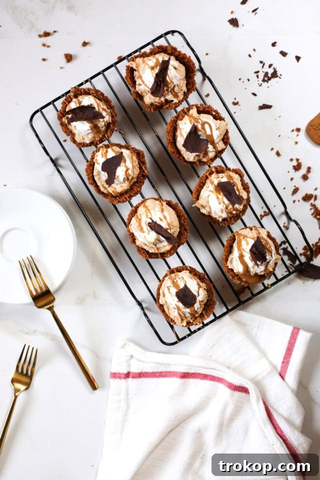 A collection of Mini Cookie Butter Tarts, showcasing their elegant presentation and delightful toppings.