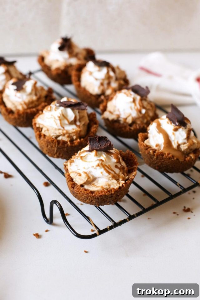 Another view of the delicious Mini Cookie Butter Tarts, ready to be enjoyed as a perfect dessert.