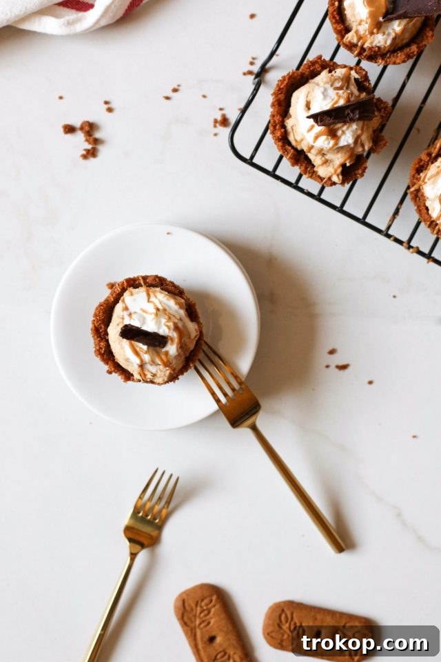 Mini Cookie Butter Tarts, beautifully arranged and ready for serving at a party.