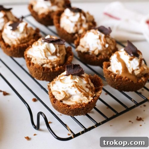 Mini Cookie Butter Tart recipe by Sugar & Cloth, an award winning DIY inspired lifestyle blog.