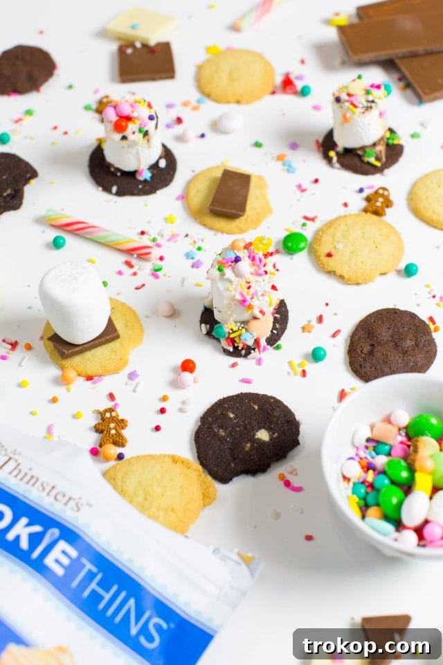Festive Holiday Cookie and Sprinkle S'mores, an easy dessert recipe by Sugar and Cloth